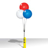 Image of DuraBalloon Reusable Vinyl Balloon Cluster Kit