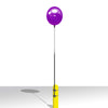 Image of Reusable Vinyl Single Balloon Kit