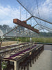 Image of 30x110 Clear Top Tent