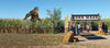 Image of Inflatable 17' Bigfoot Character