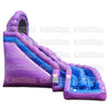 Image of 22 Purple Rapids Slide with Pool