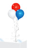 Image of Indoor 3 Balloon Table Top Kit