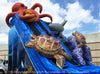 Image of Ocean Quest™ (29’) Dual Slide