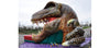 Image of Raptor Single Slide™