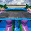 Image of 13'H Dual Lane Purple Water Slide