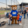 Image of Custom Mascot Costume