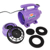 Image of XPOWER B-2 Pro-at-Home Pet Dryer