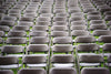 Image of Brown Plastic Folding Chairs