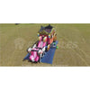 Image of 16' Princess Carriage Combo w/ Horses by Cutting Edge SKU #BC340401