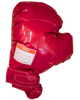 Image of Boxing Gloves (Big) (One Pair)