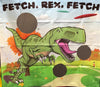 Image of Complete Fetch Rex UltraLite Air Frame Game