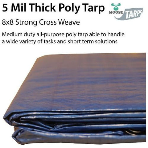 POGO Tarps 10' x 40' Blue & Silver Multi-Purpose Water Resistant Poly Tarp Cover by POGO 754972337878 267 10' x 40' Blue & Silver Multi-Purpose Water Resistant Poly Tarp Cover