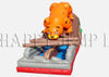Image of Leopard Slide - XL8142