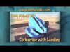 Image of 22'H Corkscrew with Landing by eInflatables