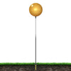 Image of DuraBalloon Single Balloon Kit