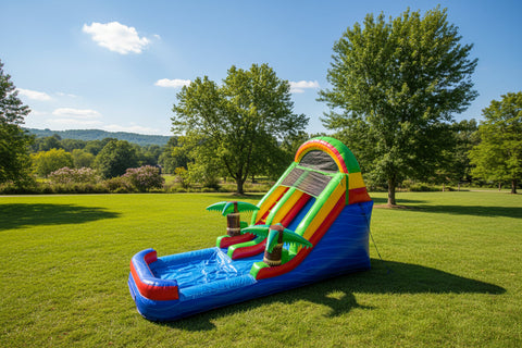 Colorful 13 ft Backyard Water Slide WS4207
