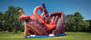 Image of Kraken™ (20’) Dual Slide