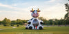 Image of Cow Bouncer™ by Cutting Edge