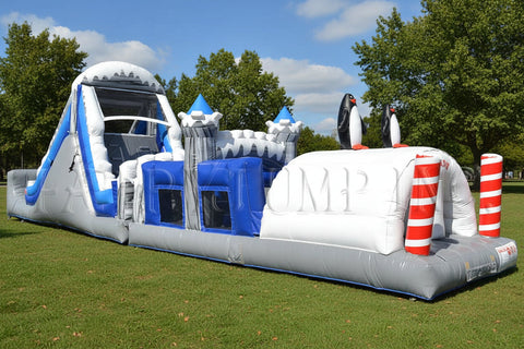 Penguin Glacier Obstacle Challenge - IG5141