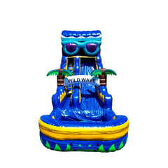 WS-273S Blue Crush