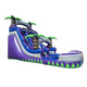 17'H Purple by Tago's Jump
