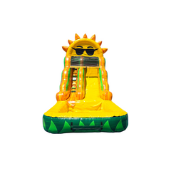 WS-272S  Sunny Splash