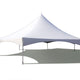 40' Hexagon Premium High Peak Frame Party Tent, White