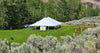 Image of 40x60 Pole Tent