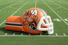 Image of Inflatable Sports Tunnel | Inflatable Team Run-Through - AD9502