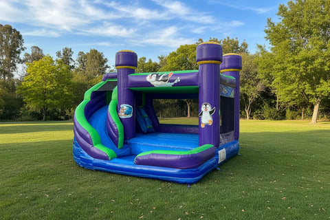 4 X Fun Commercial Inflatable Bounce House Combo - CO2404