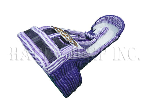 Super Slide Inflatable Water Slide - WS4460