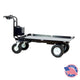 Flatbed Electric Power Wagon