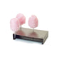 Cotton Candy Holder Cotton Candy Supplies by Paragon