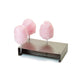 Cotton Candy Holder Cotton Candy Supplies by Paragon