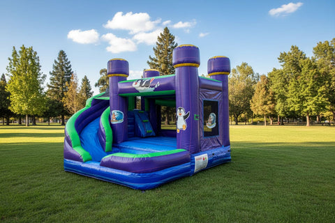 4 X Fun Commercial Inflatable Bounce House Combo - CO2404