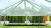 Image of 30x30 Clear Top Tent