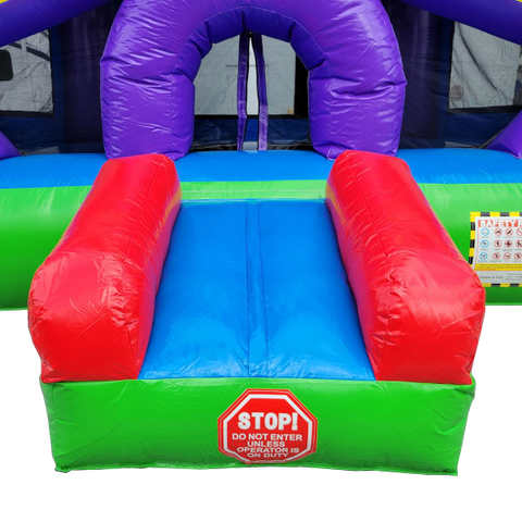 Ferris Wheel Bouncer