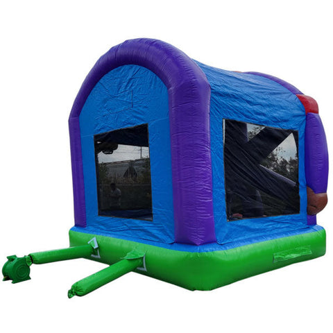 Ferris Wheel Bouncer