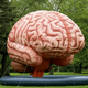 Inflatable Brain Display by Cutting Edge