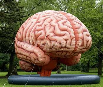 Inflatable Brain Display by Cutting Edge