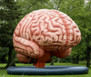 Image of Inflatable Brain Display by Cutting Edge