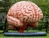 Image of Inflatable Brain Display by Cutting Edge