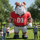 Inflatable Bulldog Sports Mascot by Cutting Edge