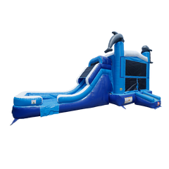 Dolphin Combo Wet n Dry