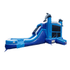 Image of Dolphin Combo Wet n Dry