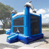 Image of Dolphin Combo Wet n Dry