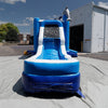 Image of Dolphin Combo Wet n Dry