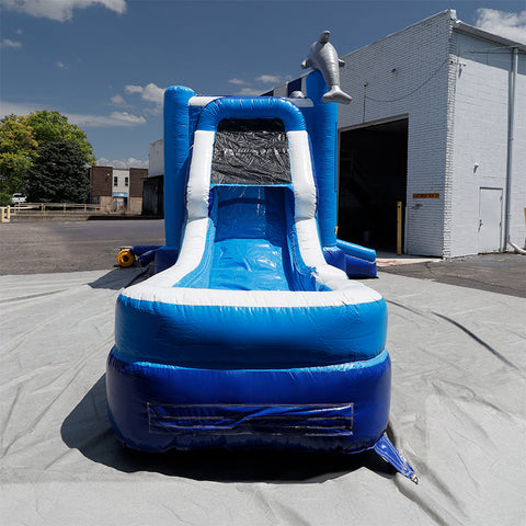 Dolphin Combo Wet n Dry