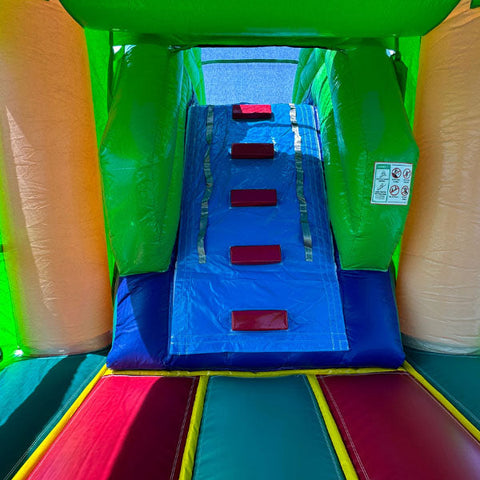 Palm Tree Combo Wet n Dry