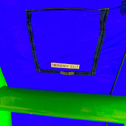 Palm Tree Combo Wet n Dry